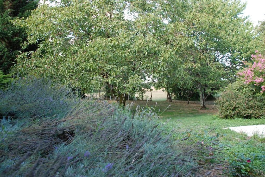 Uniquely Private Holiday Villa In The Charente Puyreaux Exterior foto
